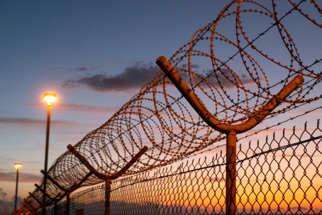 barbed wire