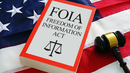 Freedom of Information Act FOIA Request Process is shown using the text
